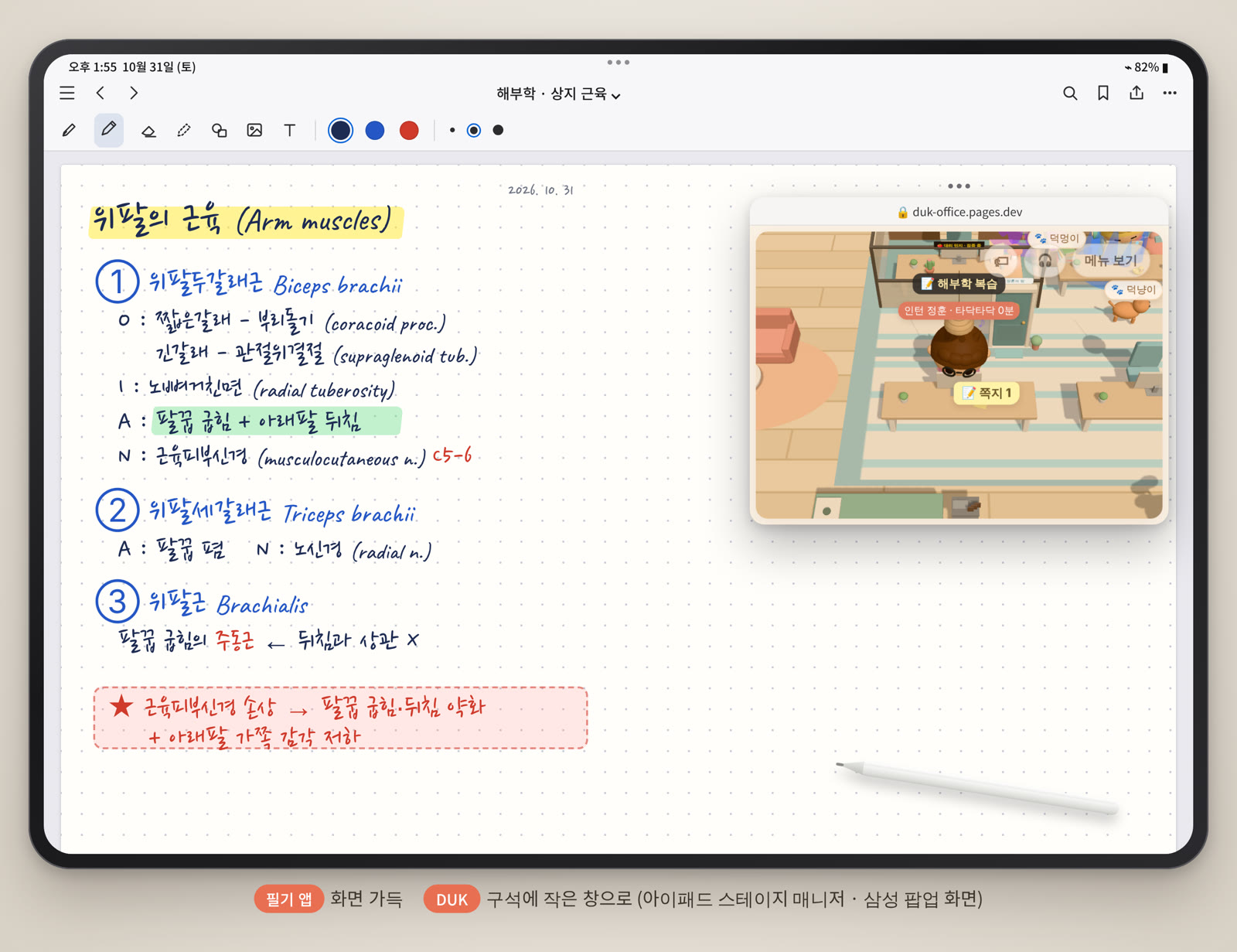필기 앱 위 구석에 DUK을 작은 창으로 띄운 아이패드 화면